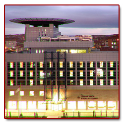 Proje Tasarımı ve Uygulama Desteği